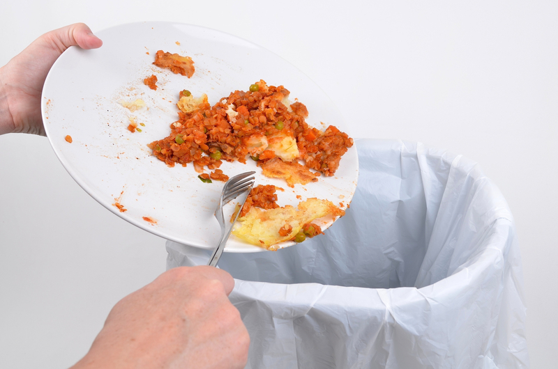 Transform Overfilled Spaces with Clutter Removal and Hoarder Clean Up Experts